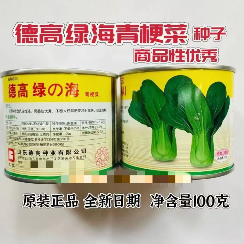 德高绿海青梗菜种子杂交种籽上海高产耐寒蔬菜小白菜青菜耐热原装