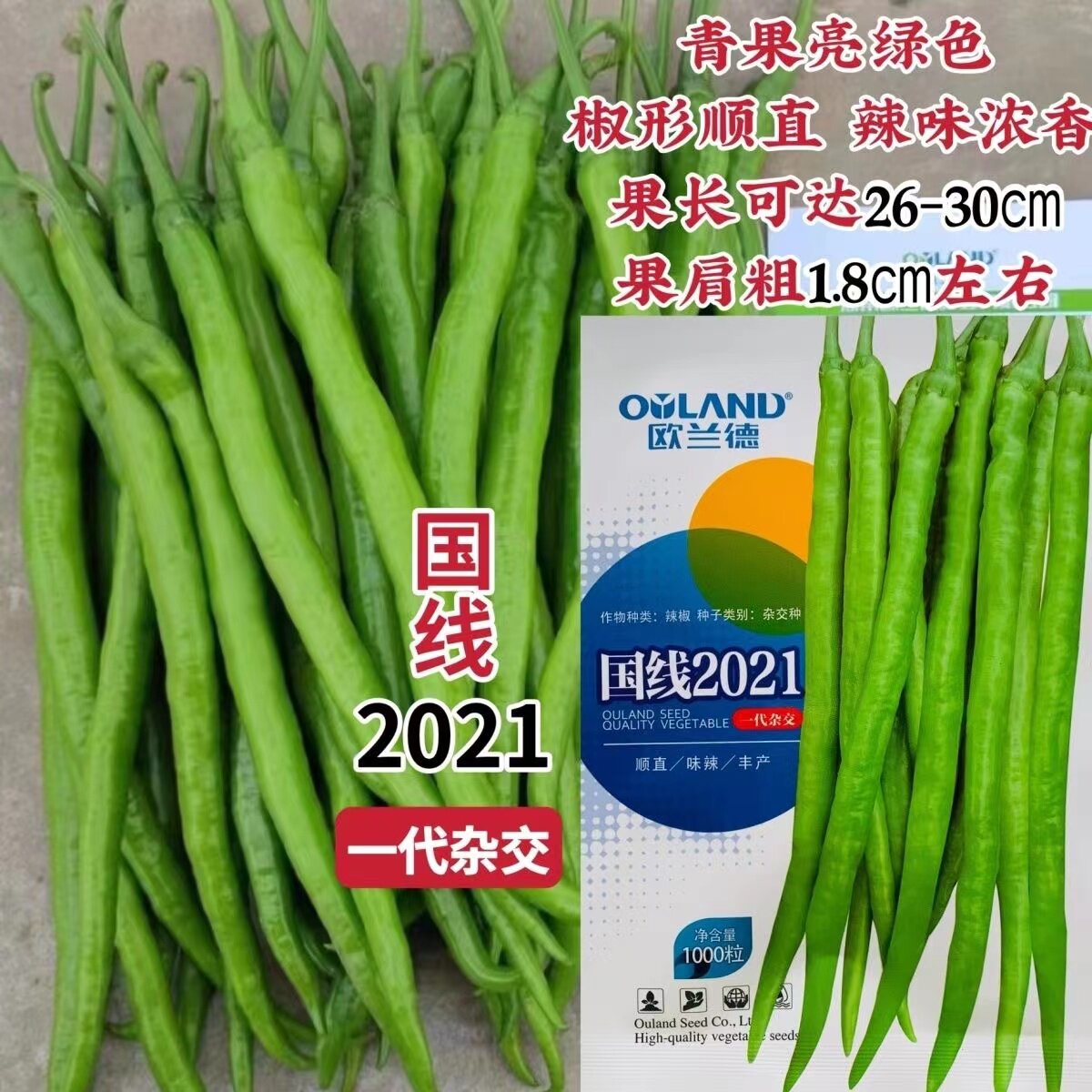 欧兰德国线2021线椒种子特长软皮薄皮长线条椒黄绿皮辣椒种子籽孑