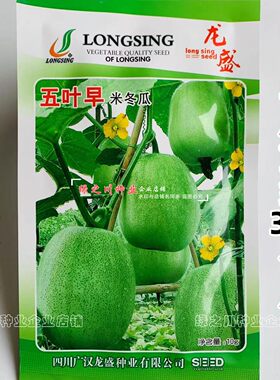 四川五叶早米小冬瓜种子早熟嫩瓜青绿色冬瓜种籽一串铃冬瓜籽绿皮