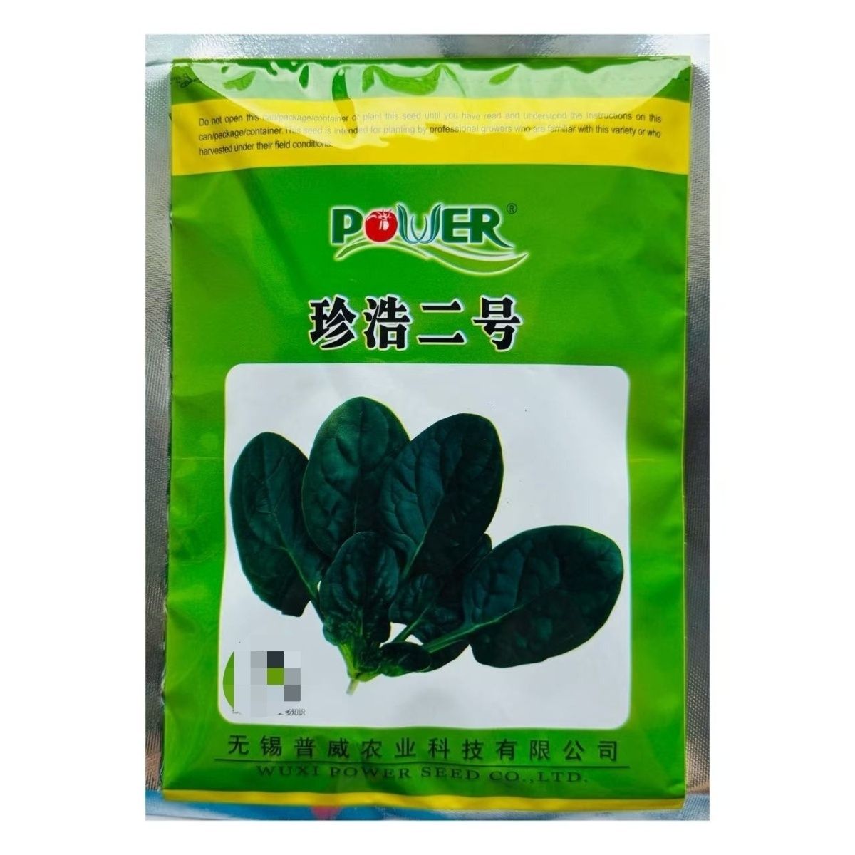 珍浩二号趴地菠菜种子抗病能力强进口品种大圆叶短柄黑亮菠菜种子