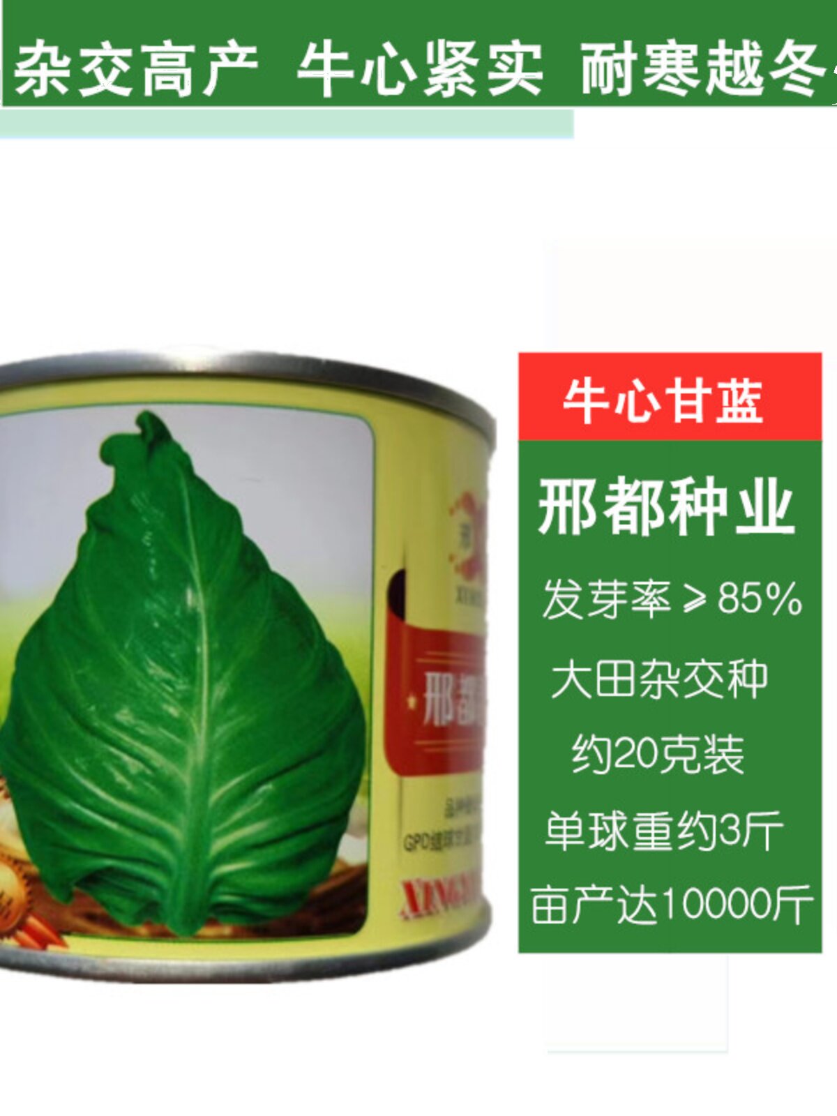 春丰牛心甘蓝种子包菜卷心菜种籽高产早熟春夏秋冬四季青蔬菜种籽