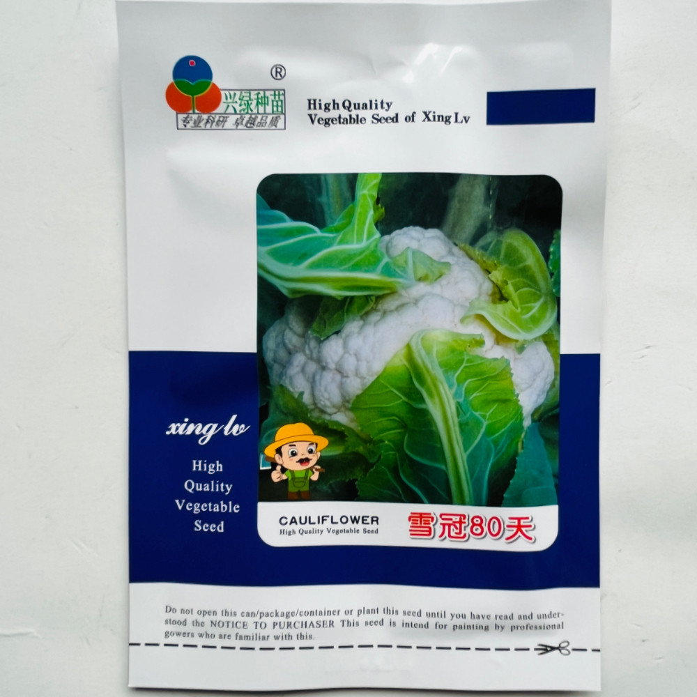 雪冠80天杂交花菜种子 不花椰菜抗病松花菜种大田种高产品种花菜