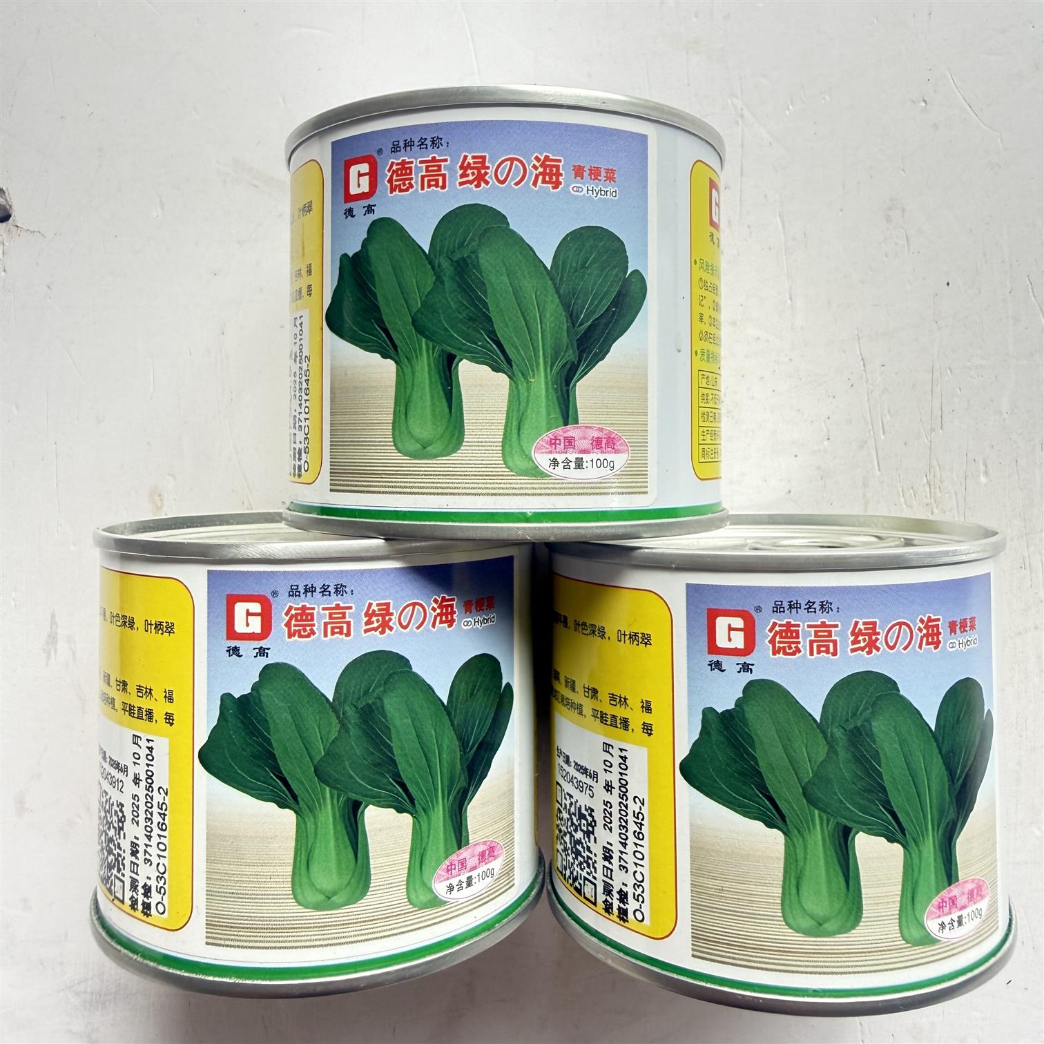 德高绿海青梗菜种子 一代杂交耐热耐湿青梗菜种籽夏秋季抗热品种