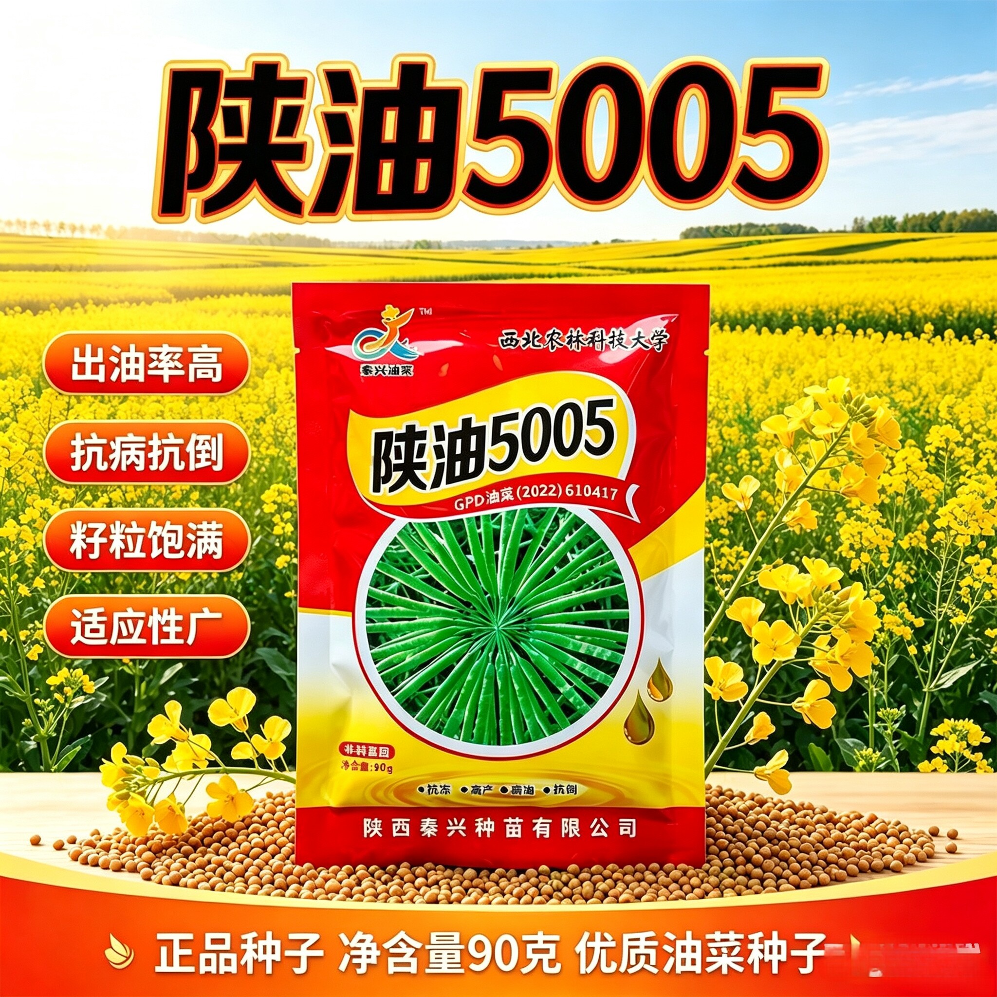 花籽陕油5005油菜种子黄褐花菜籽耐寒抗病高油量三系杂交油菜种籽
