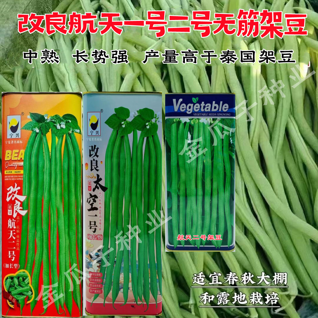 改良航天一号二号架豆王种子加长型无筋豆四季豆泰国架豆种籽特长