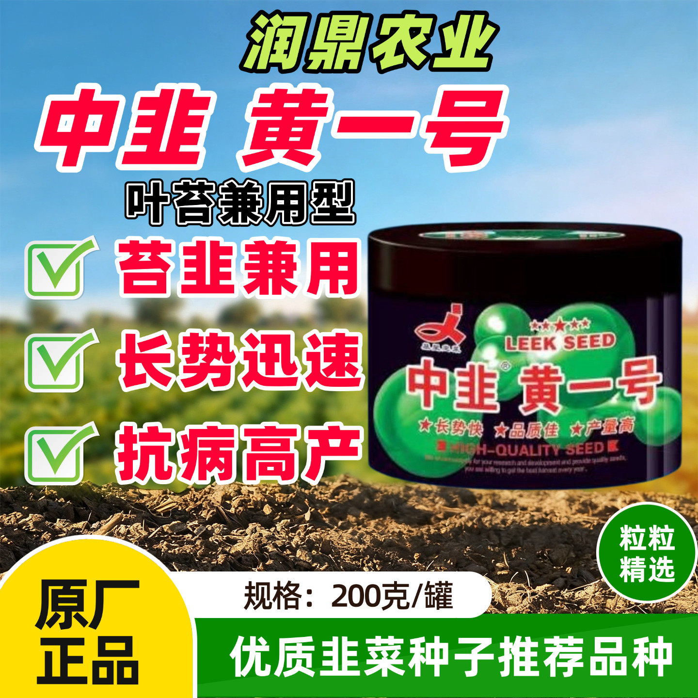 中韭黄一号韭黄耐寒韭菜种子高产抗病不休眠抗倒伏大棚基地韭菜籽