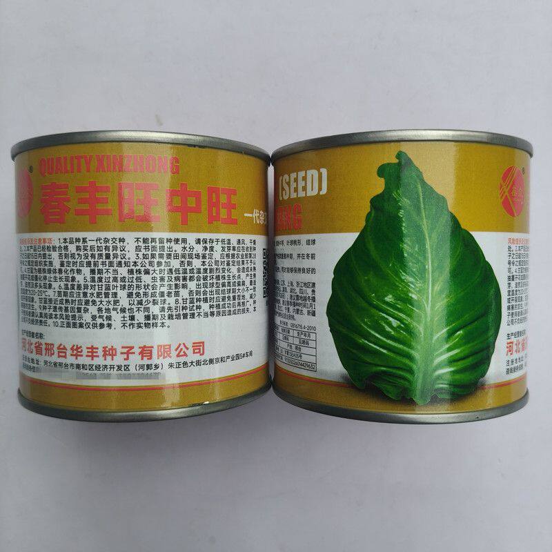 鑫众春丰旺中旺早熟牛心甘蓝种子冬性强抗病耐寒结球紧实秋季种植