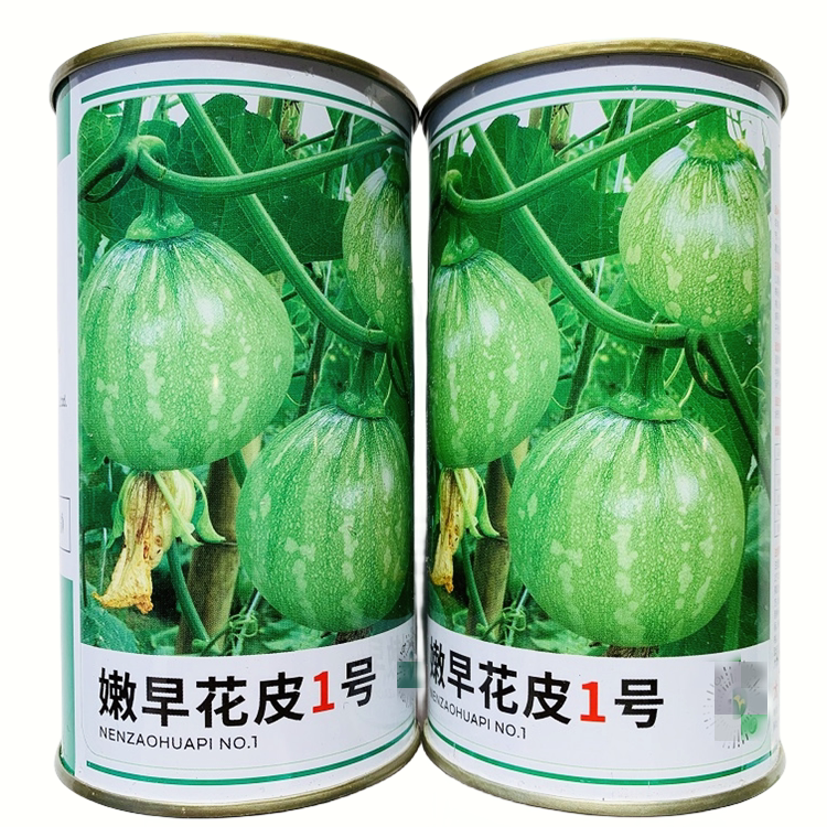 嫩早花皮1号南瓜种子花皮一串铃南瓜种孑早熟嫩南瓜小菜南瓜种籽