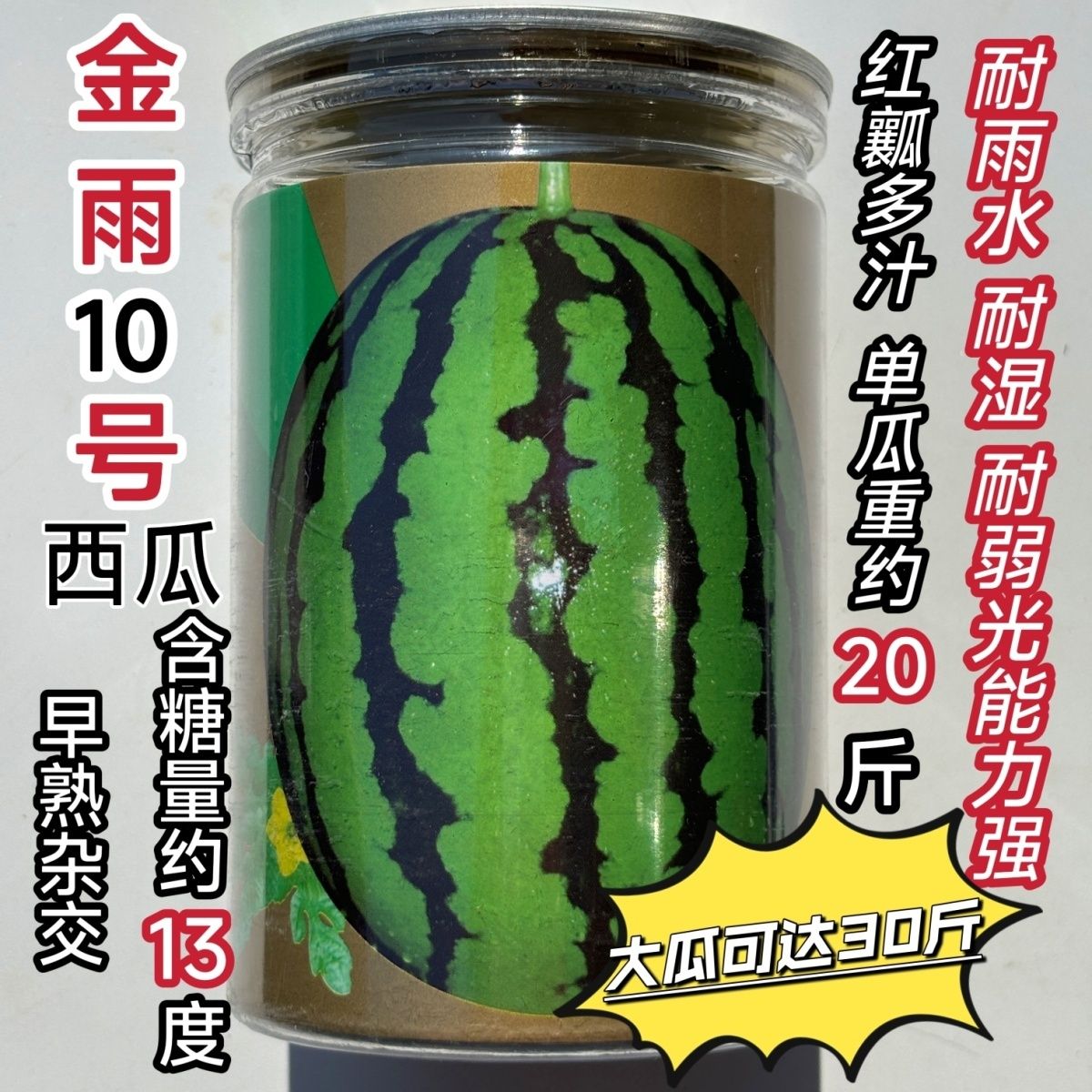 金雨10号杂交早熟大果西