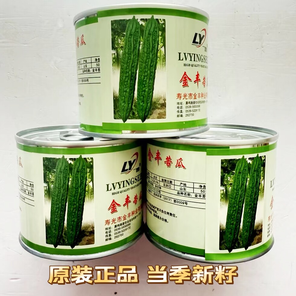 高产金丰苦瓜种子长绿苦瓜种籽肉厚早熟耐热蔬菜四季菜绿春秋冬季