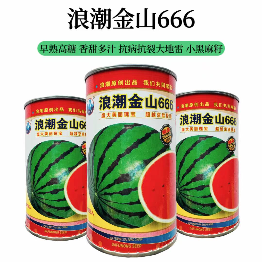 浪潮金山666西瓜种子大红色瓤高糖少籽深绿圆型花皮抗旱耐重茬中