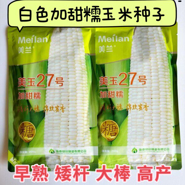 海南美玉27号加甜糯玉米种子长筒型矮杆大穗高产 香糯黏甜200克