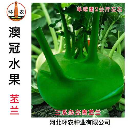 澳冠水果苤兰种子杂交早熟抗病青苤蓝种籽春秋季播种蔬菜种孑