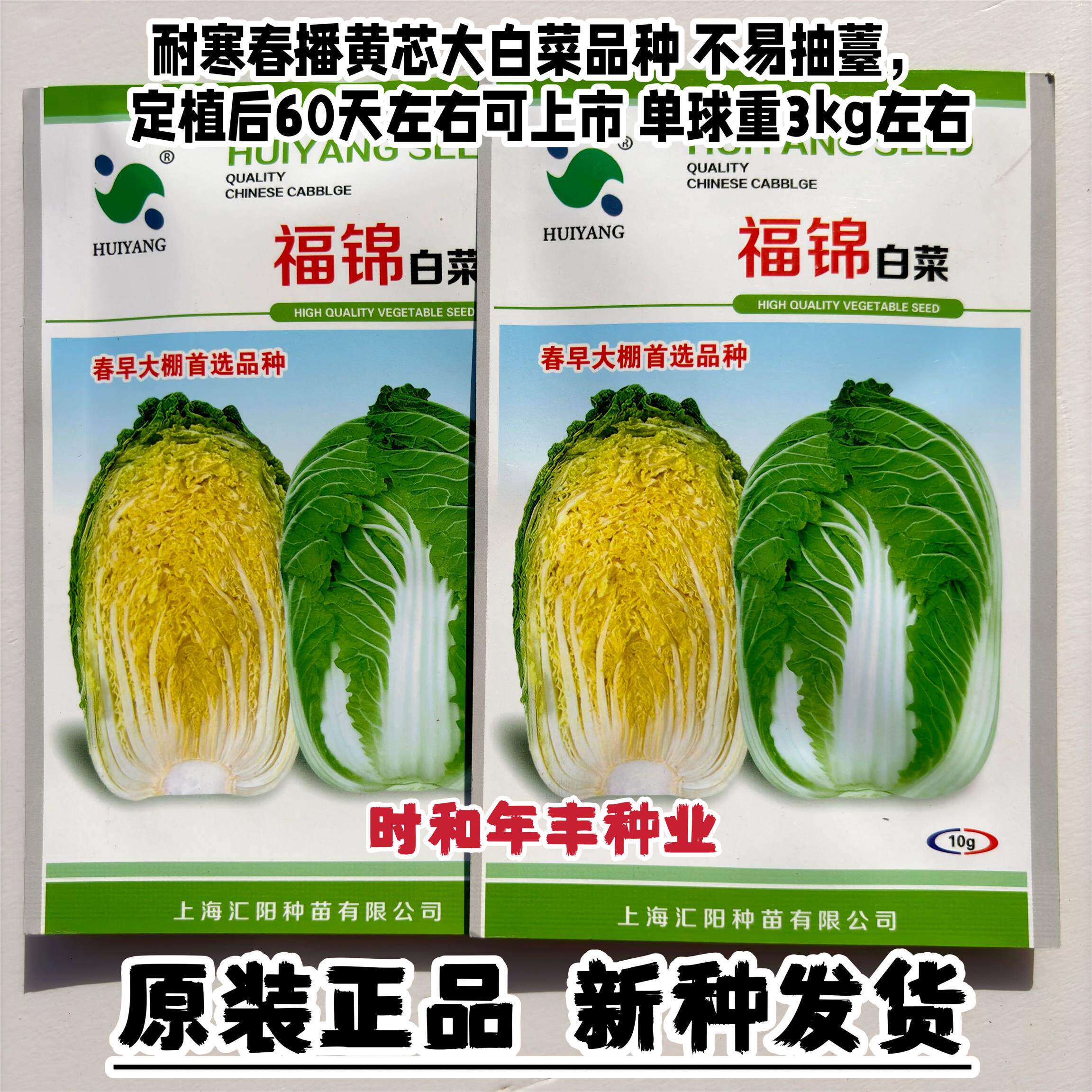 春播大白菜种子福锦黄芯大白菜种子春季早熟黄芯大白菜耐寒白菜种