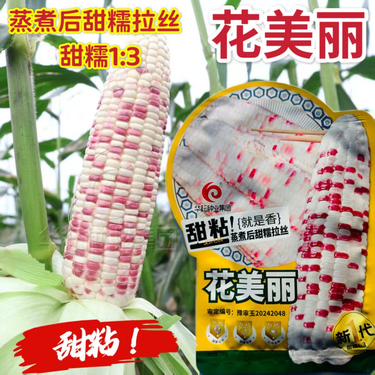花美丽 彩甜糯玉米种籽大棒非转加甜糯小花玉米种子100克