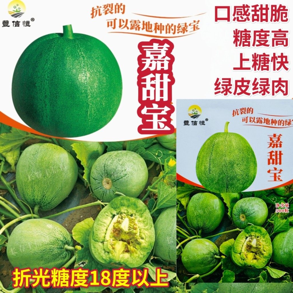 嘉甜宝绿皮绿肉高糖甜瓜种子口感甜脆耐裂甜瓜种籽农家春播甜瓜孑