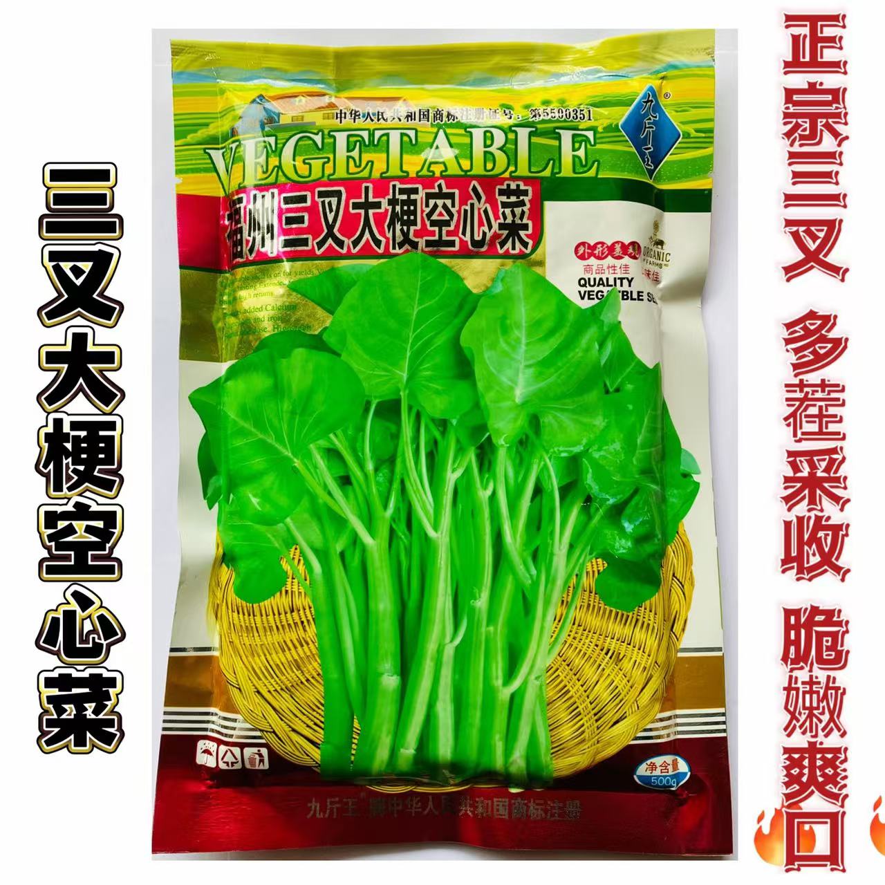 福州三叉大梗空心菜种子高产耐热耐湿蕹菜通心菜种籽春夏秋季