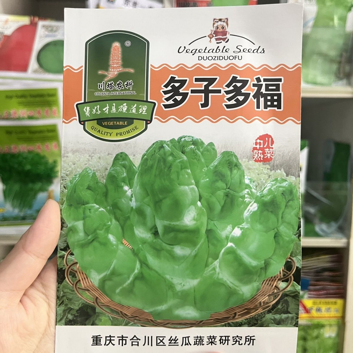 川塔农科多子多福中早熟