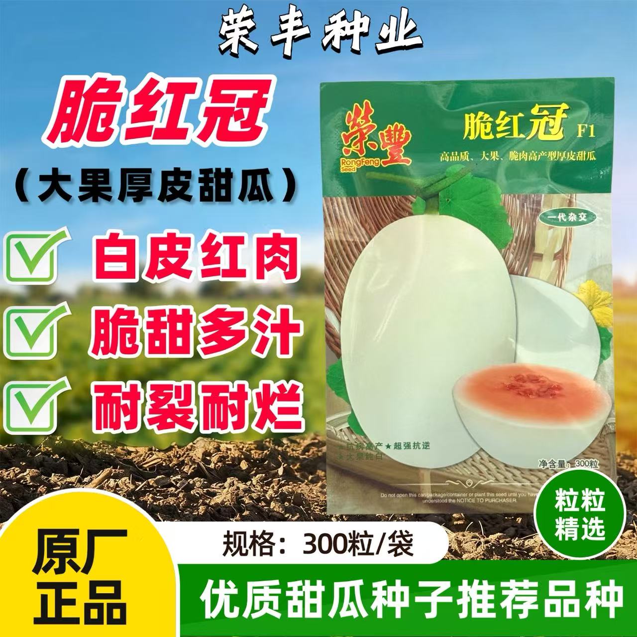 荣丰脆红冠甜瓜种子厚皮杂交高产甜瓜种籽白皮红肉高糖耐裂耐贮运