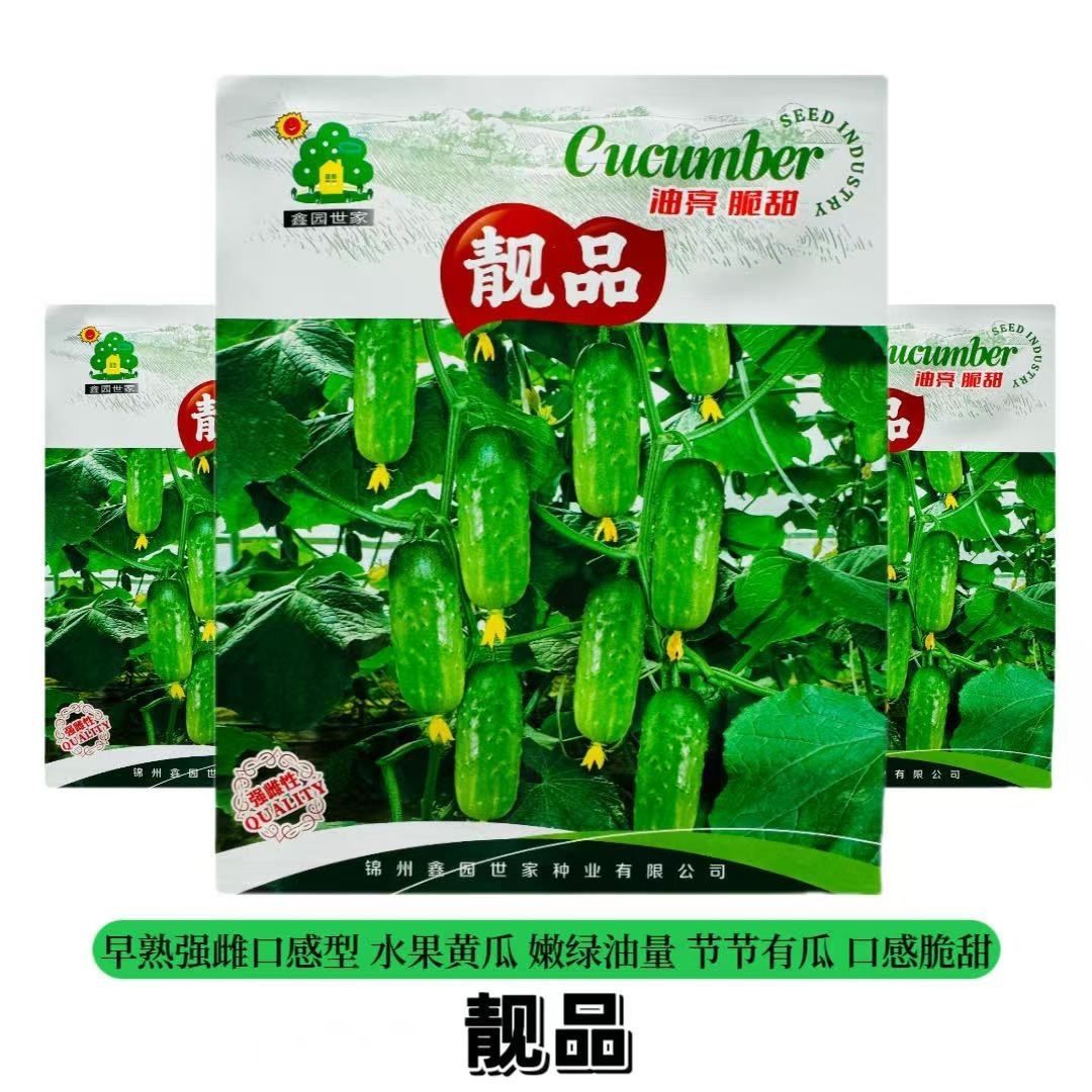 靓品黄瓜种子早熟强雌短棒瓜码密油亮型黄瓜种籽抗病强口感型蔬菜