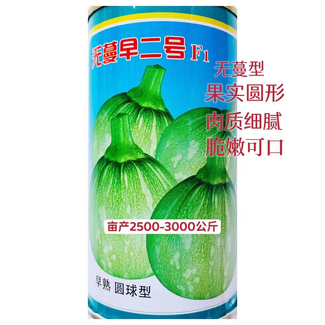 无蔓早二号南瓜种子早熟高产圆球型嫩南瓜种子春秋无藤短蔓菜瓜种