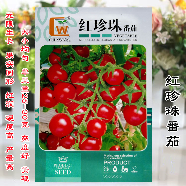 红珍珠樱桃番茄种子红色小圣女果种子高产无限生长水果蔬菜种籽孑