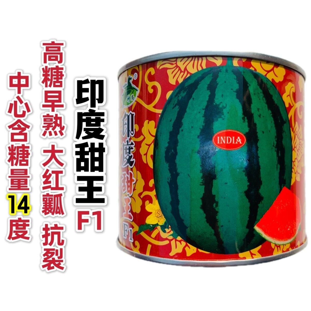 神禾印度甜王西瓜种子抗裂大果大红瓤西瓜种子高糖早熟大号花皮瓜