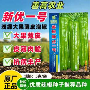 善高善椒新优一号辣椒种子早中熟薄皮泡椒种籽黄绿皮长灯笼型辣椒