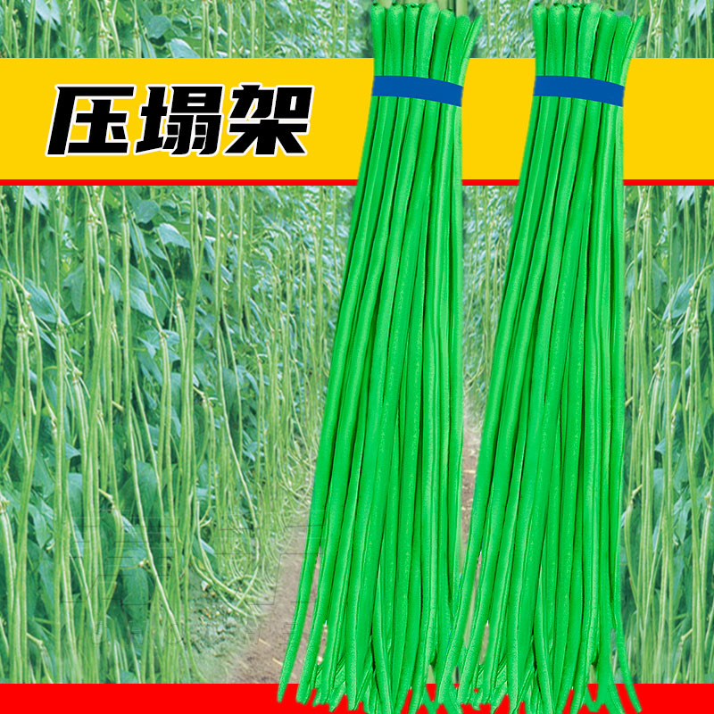 压塌架豇豆种子青条豆角长豆角种籽早熟春季老品种高产四季豆种孑