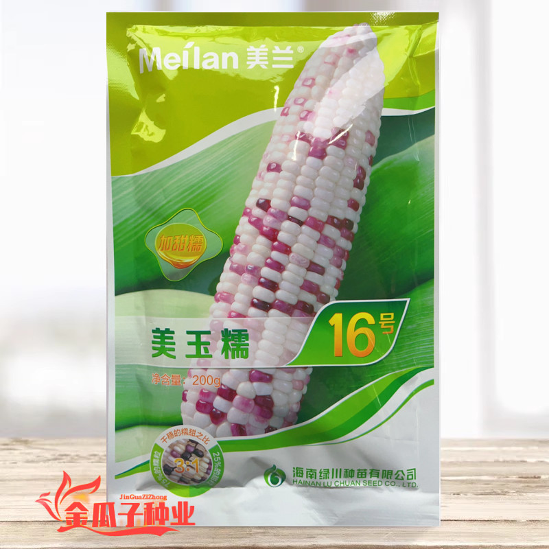 美兰美玉糯16号彩甜糯玉米种子花糯玉米产量高品质好软糯蔬菜基地