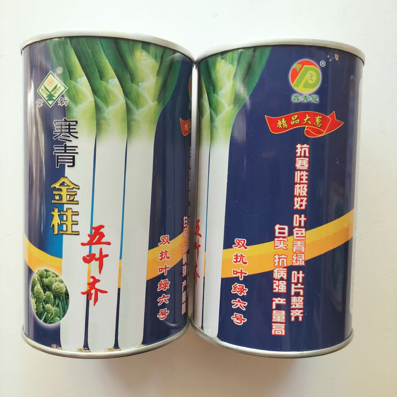 寒青金柱五叶齐大葱种子抗倒伏抗寒叶片东北抗病深绿越冬铁杆白实