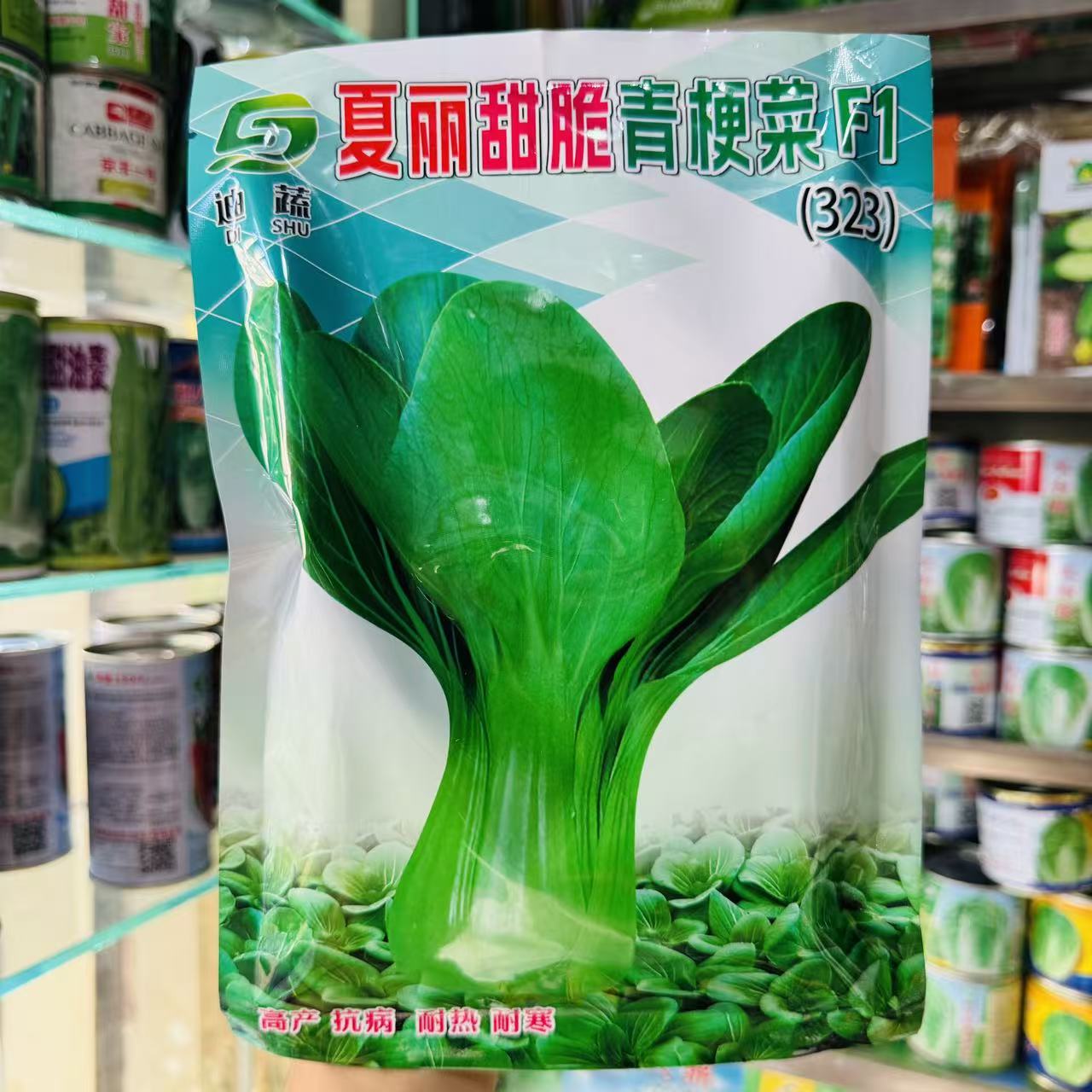 夏丽甜脆青梗菜种子上海青束腰梗菜绿叶菜脆甜无渣四季种蔬菜种籽