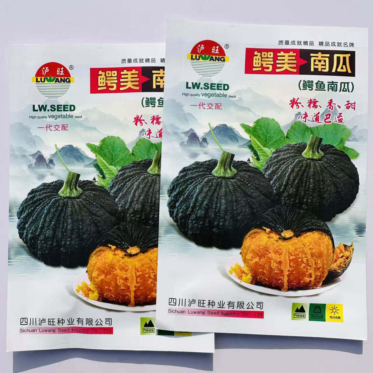 鳄美南瓜种子粉糯香甜墨绿皮扁圆形南瓜种子鳄鱼南瓜种子