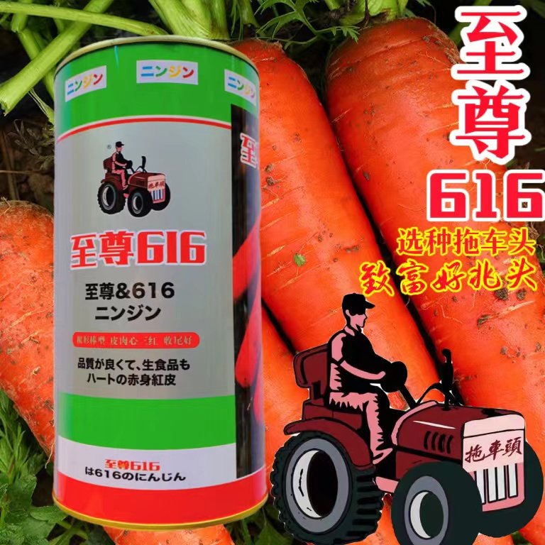 至尊616胡萝卜种子高产红胡萝卜种籽农家水果萝卜籽夏秋季播蔬菜,鲜花速递/花卉仿真/绿植园艺,家庭园艺种子,淘宝优惠券,粉丝福利购,淘宝优惠卷