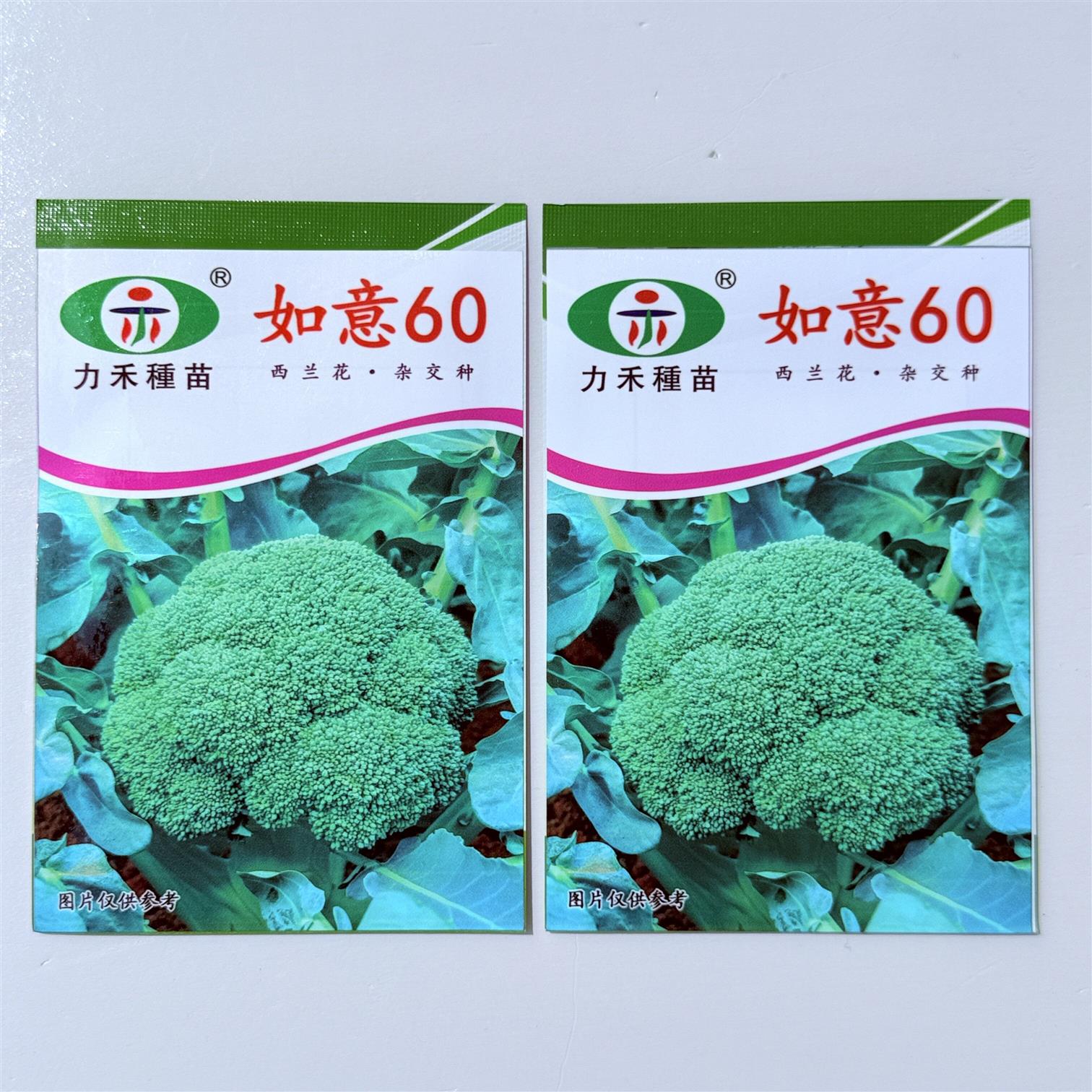 如意60西兰花种子花菜种籽青梗松散型花椰菜种籽孑农家易种植蔬菜