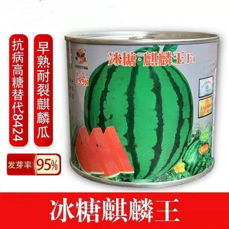 早佳 西瓜种籽超甜冰糖麒麟王早熟耐裂脆甜沙瓤多汁大果水果种子