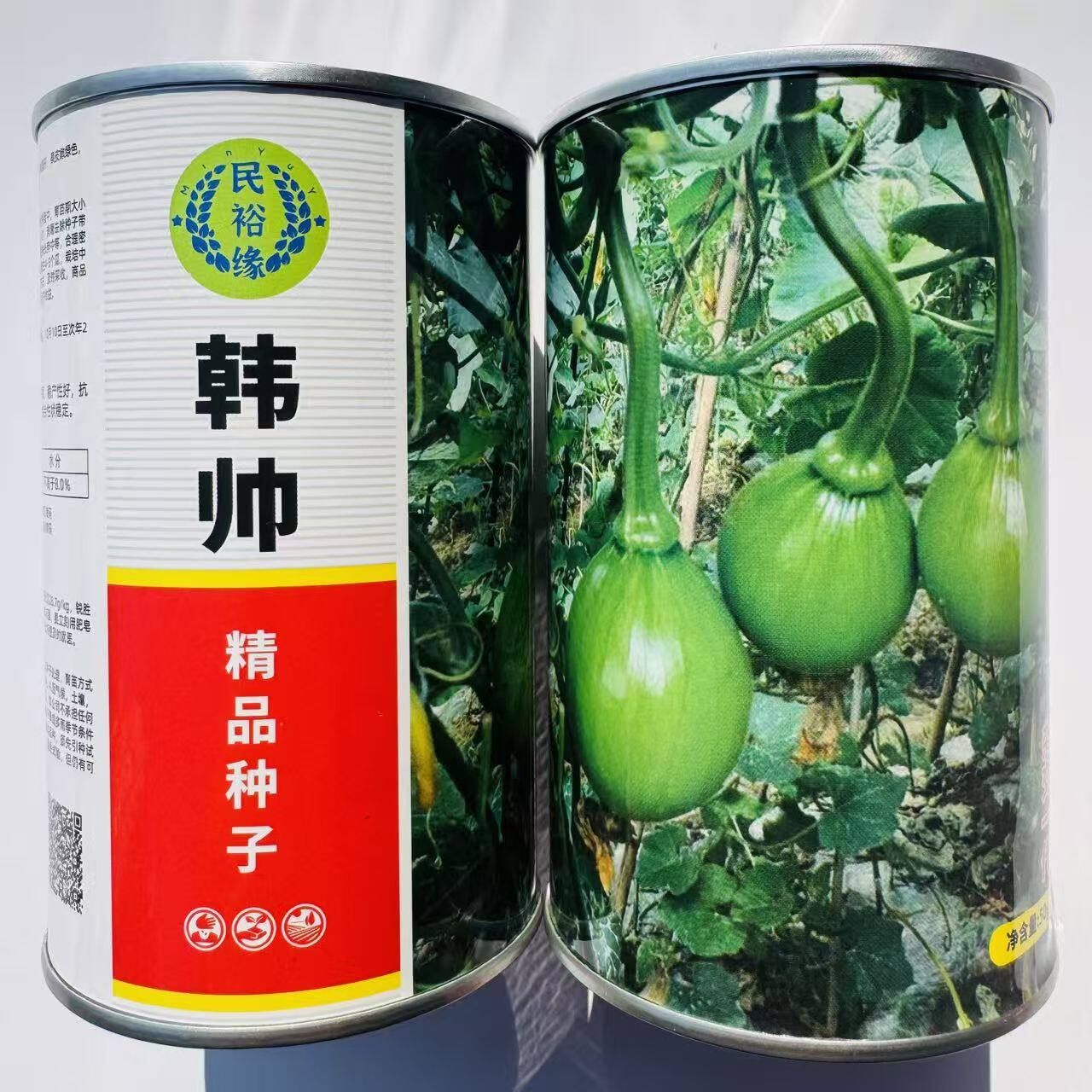 韩帅小青瓜种子韩国引进早熟爬藤一代杂交嫩南瓜种籽高产蔬菜种孑
