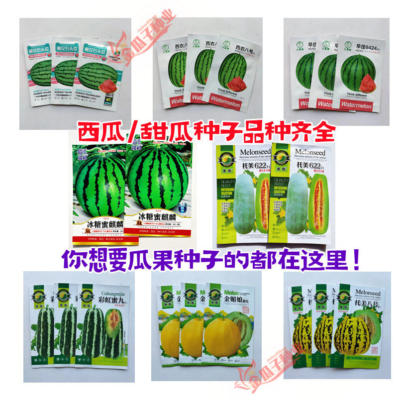 蔬果种子水果香瓜西瓜哈密瓜甜瓜种子菜籽苗子 盆栽家庭蔬菜种植,鲜花速递/花卉仿真/绿植园艺,家庭园艺种子,淘宝优惠券,粉丝福利购,淘宝优惠卷