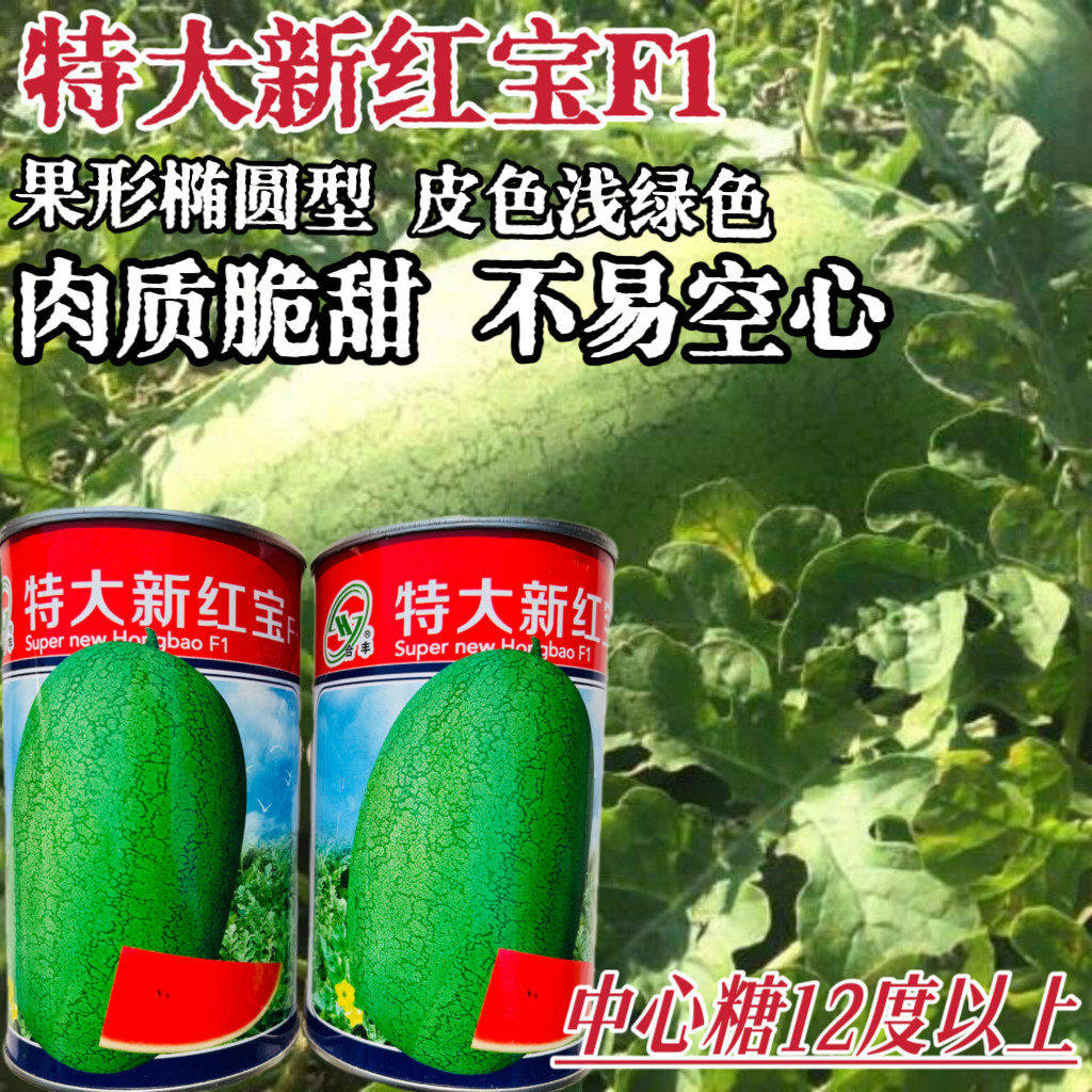 新红宝西瓜种子中晚熟春播耐湿椭圆形西瓜种孑脆甜多汁西瓜籽高产