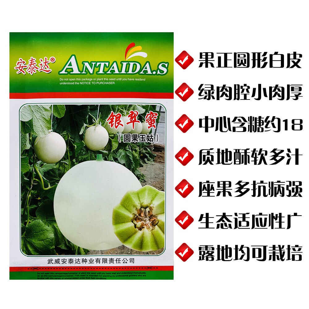 银翠蜜圆果玉菇甜瓜种子中熟白皮绿肉酥甜瓜四季水果杂交种籽种孑