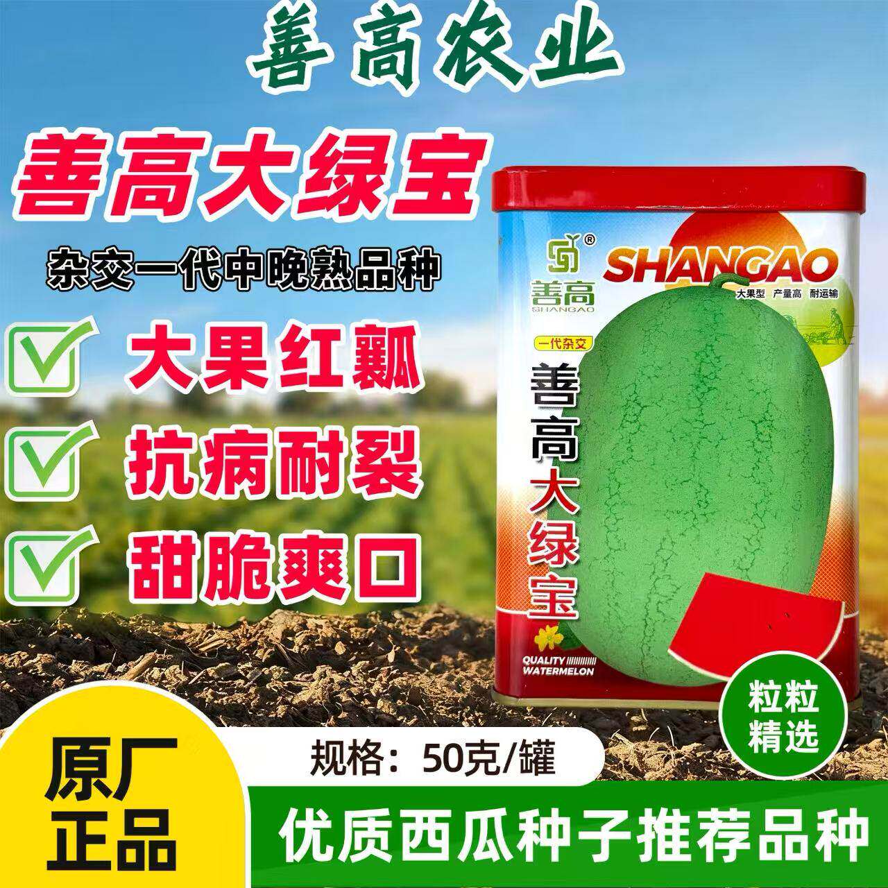 善高大绿宝西瓜种子椭圆型大果西瓜籽中熟耐裂特大红新宝西瓜种籽