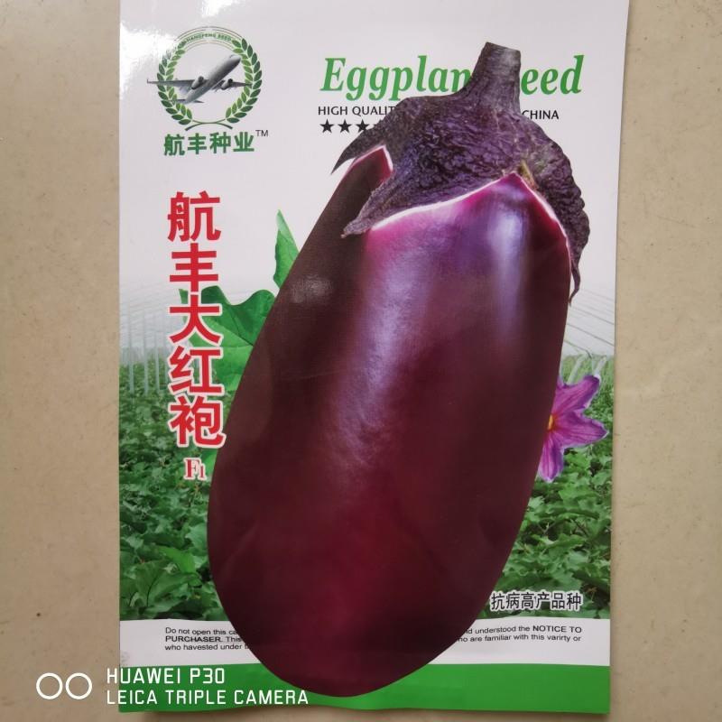 大红袍紫茄子种子抗病丰产紫红