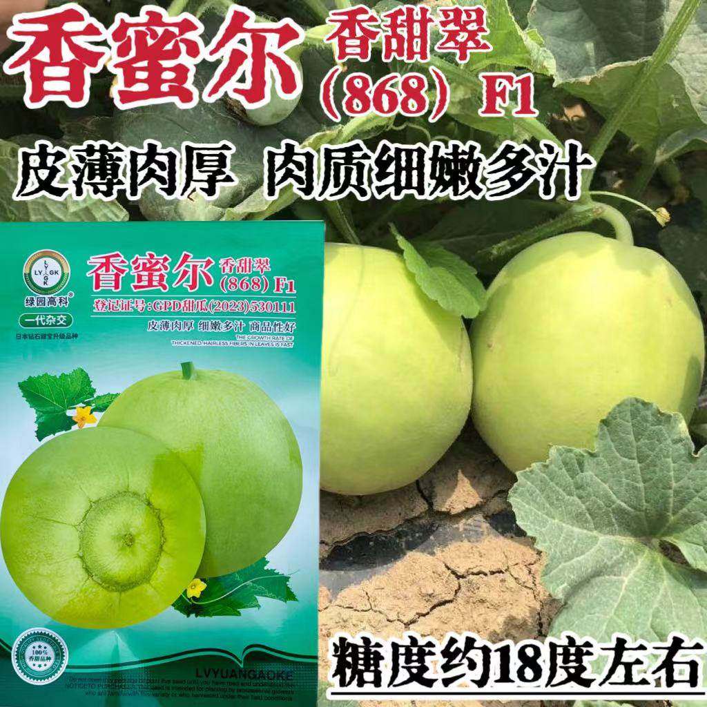 香蜜尔香甜翠868甜瓜种籽水果种子超甜大果甜宝香瓜种籽春夏秋播