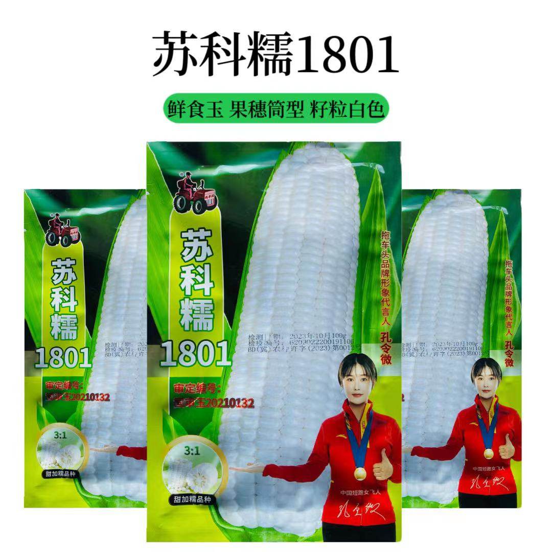 白玉米种子苏科糯1801苞米籽甜糯无渣大穗农家菜园农田鲜食苞谷籽,鲜花速递/花卉仿真/绿植园艺,家庭园艺种子,淘宝优惠券,粉丝福利购,淘宝优惠卷