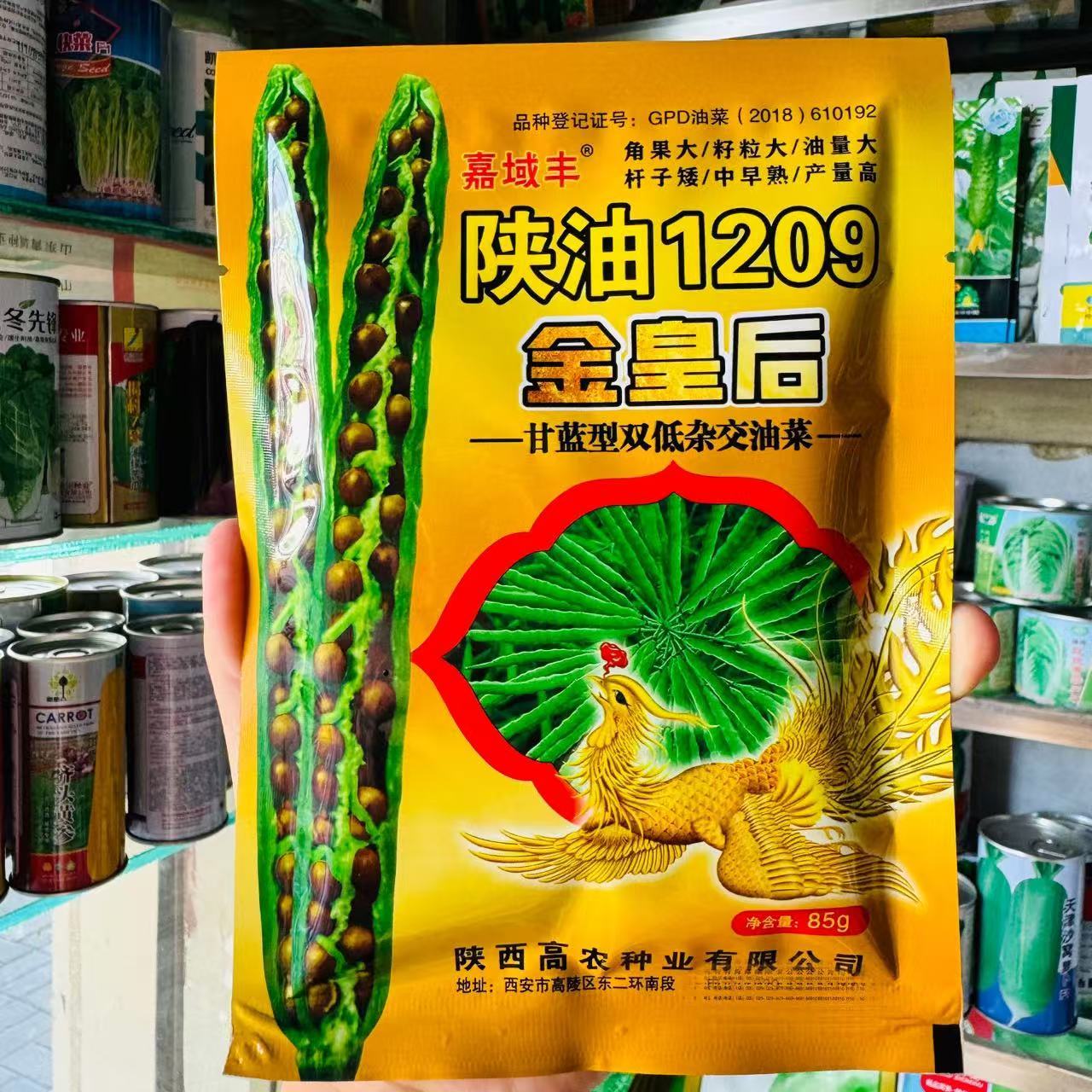 陕油金皇后1209油菜种子中早熟高产抗病耐热耐寒农家菜园基地种植
