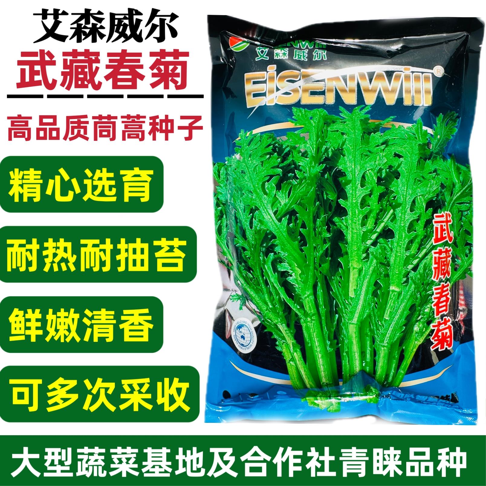 武藏春菊茼蒿菜种子清香