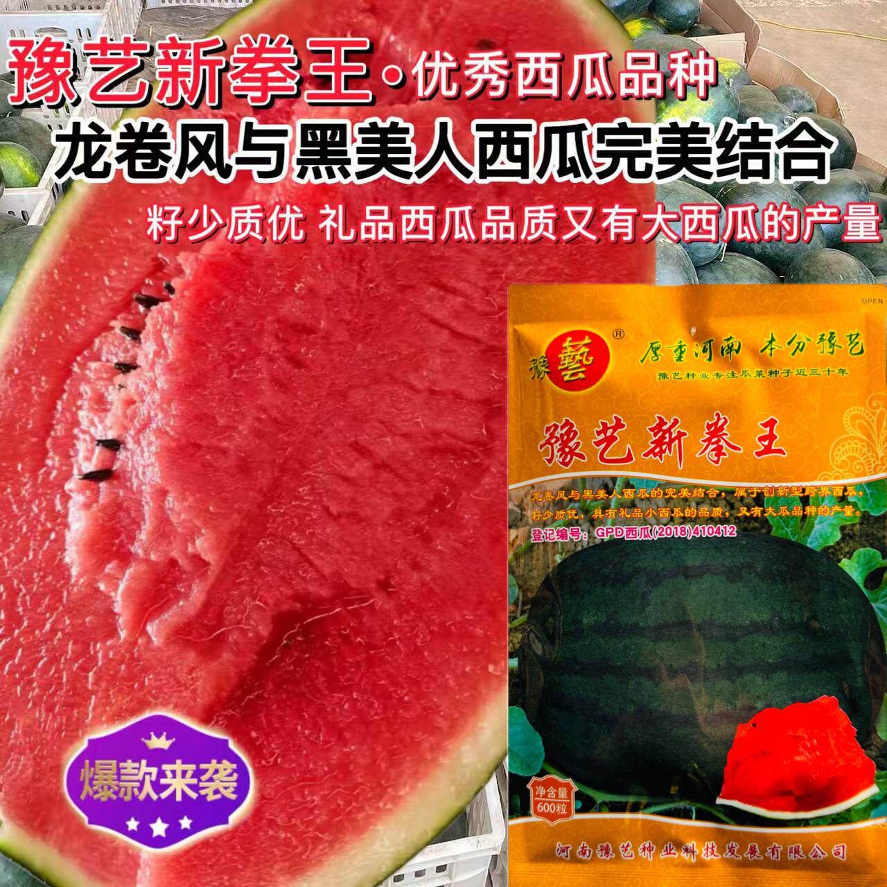 新拳王西瓜种子西瓜种子高产抗病礼品西瓜种子黑美人西瓜种籽
