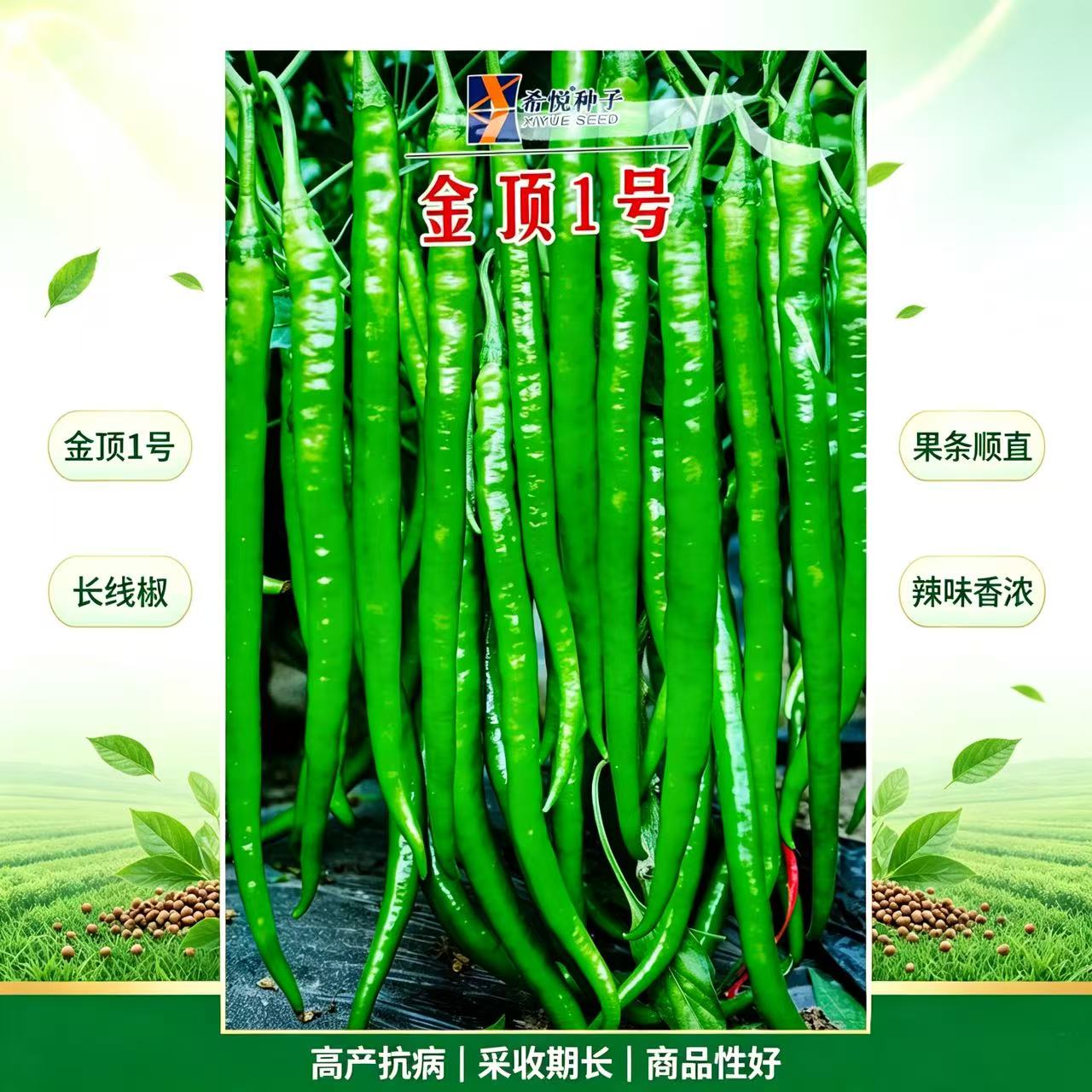 金顶一号超长线椒种子辣味香浓椒条顺直可摘青红果产量高辣椒种子