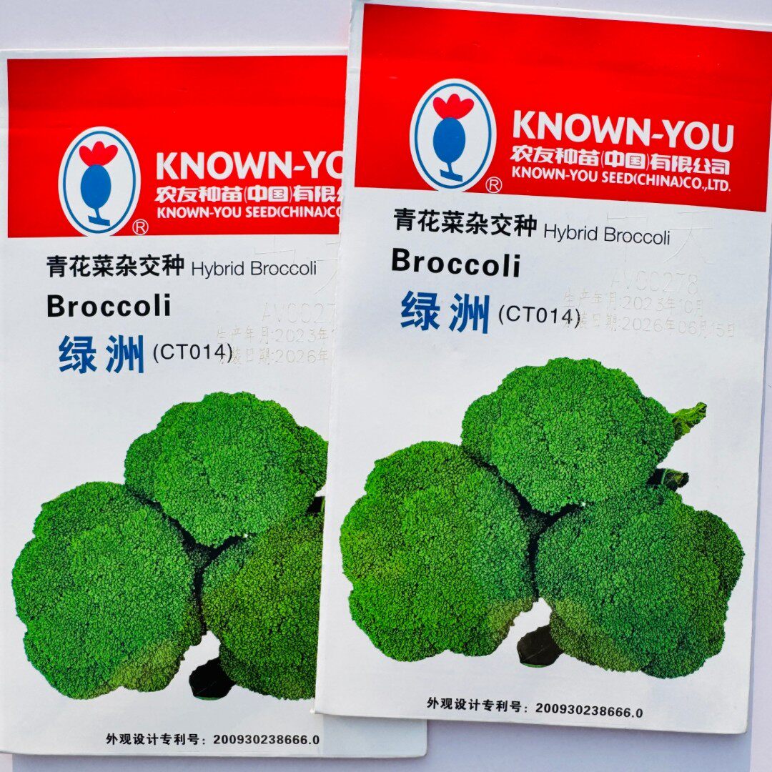 绿洲青花菜杂交种子西兰花种子绿花菜花椰菜籽秋播早熟蔬菜种孑籽