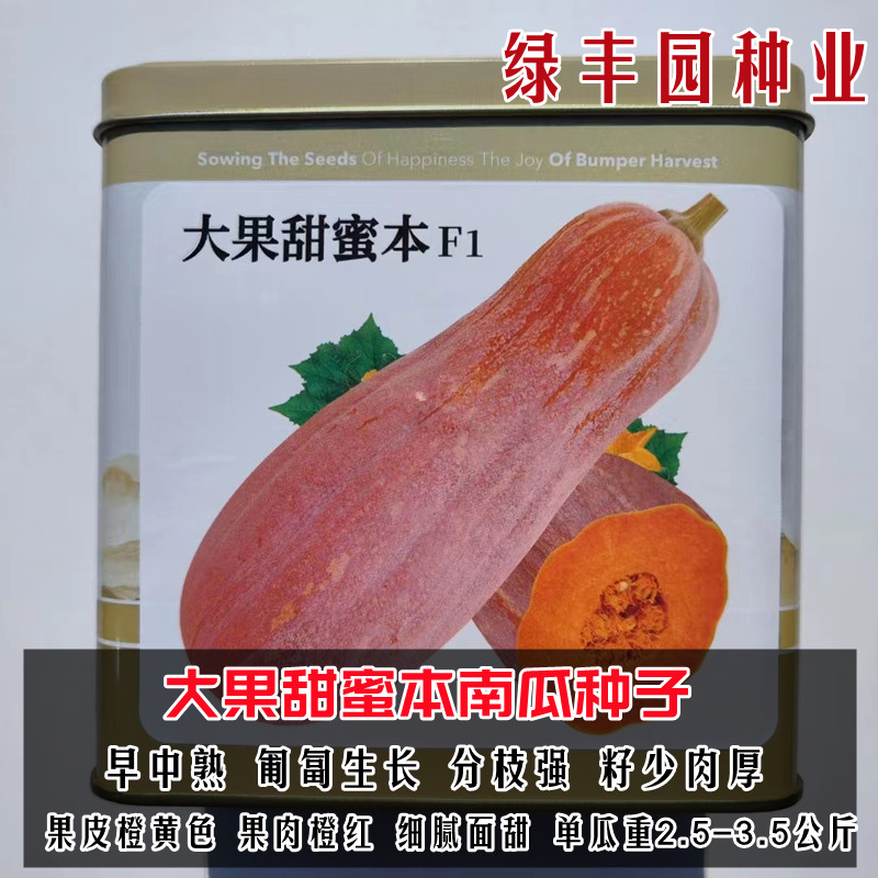 早中熟匍匐生长高产面甜蜜本南瓜